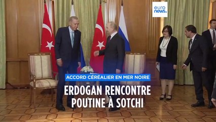Accord céréalier en mer Noire : Vladimir Poutine "ouvert aux discussions"