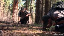 Incendi in California, l'uomo prova a salvare le sequoie giganti