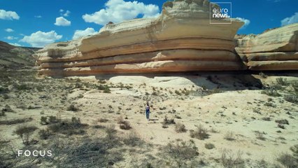 Re-greening Uzbekistan's desertified Aral Sea region