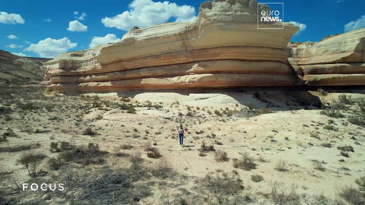 Internationale Initiativen zur Rettung des Aralsees