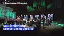 Tierische Musik: Hunde begleiten Kammerorchester