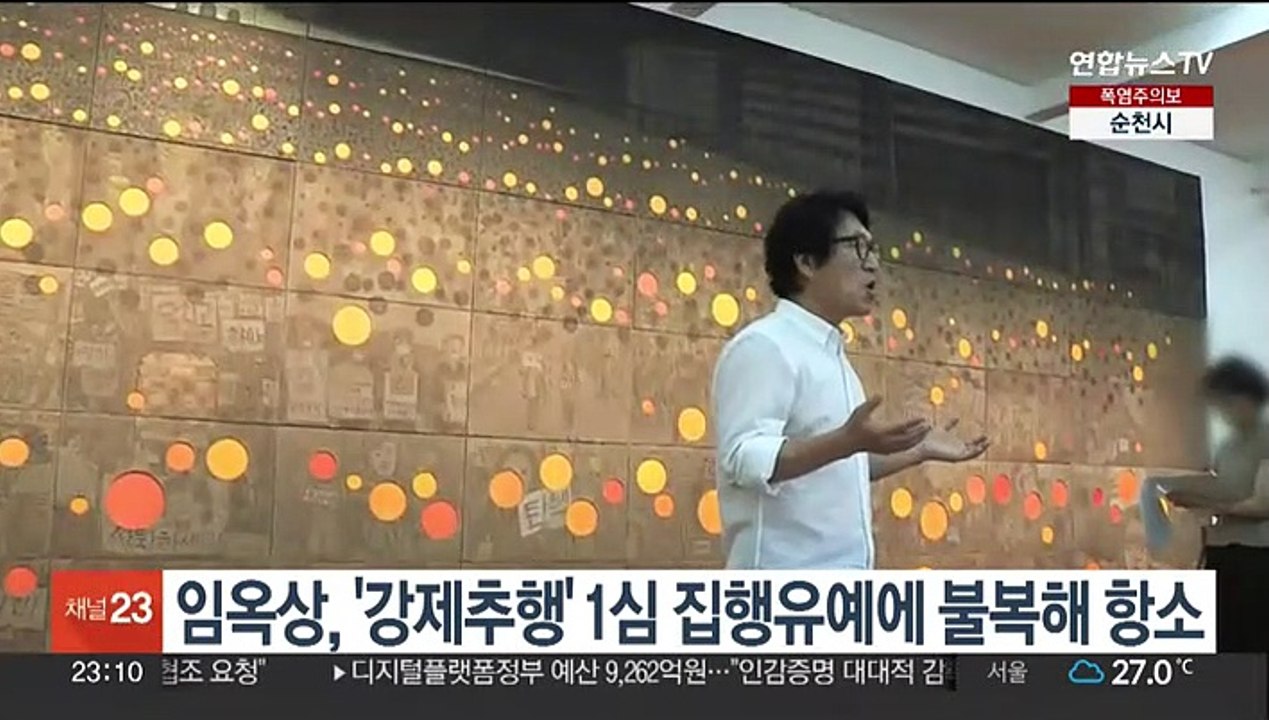 임옥상, '강제추행' 1심 집행유예에 불복해 항소