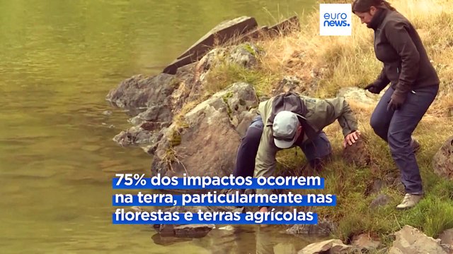 Espécies invasoras causam prejuízos de 390 mil milhões de euros anuais