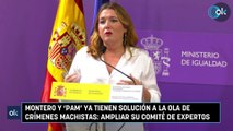 Montero y 'Pam' ya tienen solución a la ola de crímenes machistas ampliar su comité de expertos