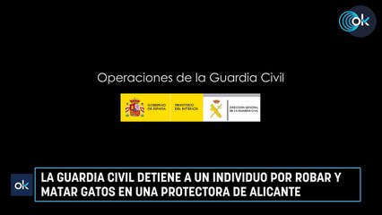 La Guardia Civil detiene a un individuo por robar y matar gatos en una protectora de Alicante