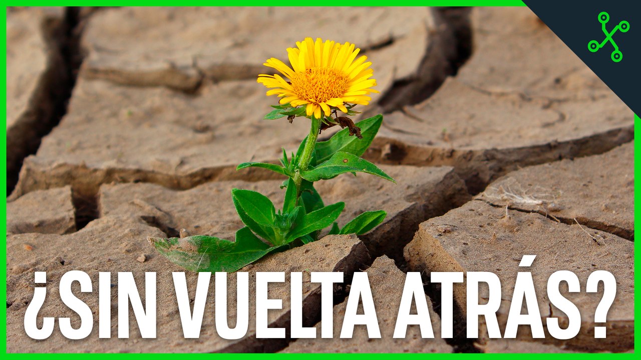 SEQUÍA ¿Y si no la podemos revertir?