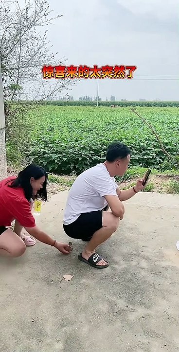 Try not to laugh! funny sort video