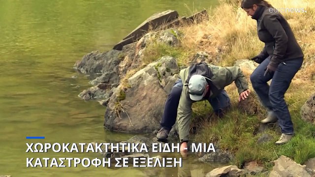 ΟΗΕ: Τα χωροκατακτητικά είδη απειλούν την παγκόσμια οικονομία