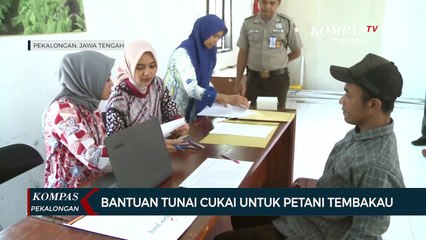 Ratusan Petani Tembakau dapat Bantuan Langsung Tunai Cukai