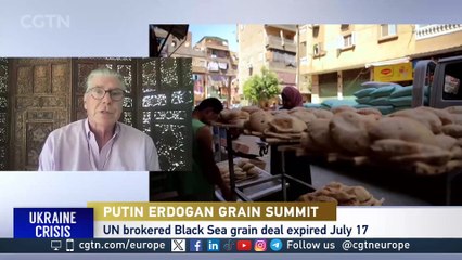 Putin, Erdogan Talks Without Reviving Grain Deal