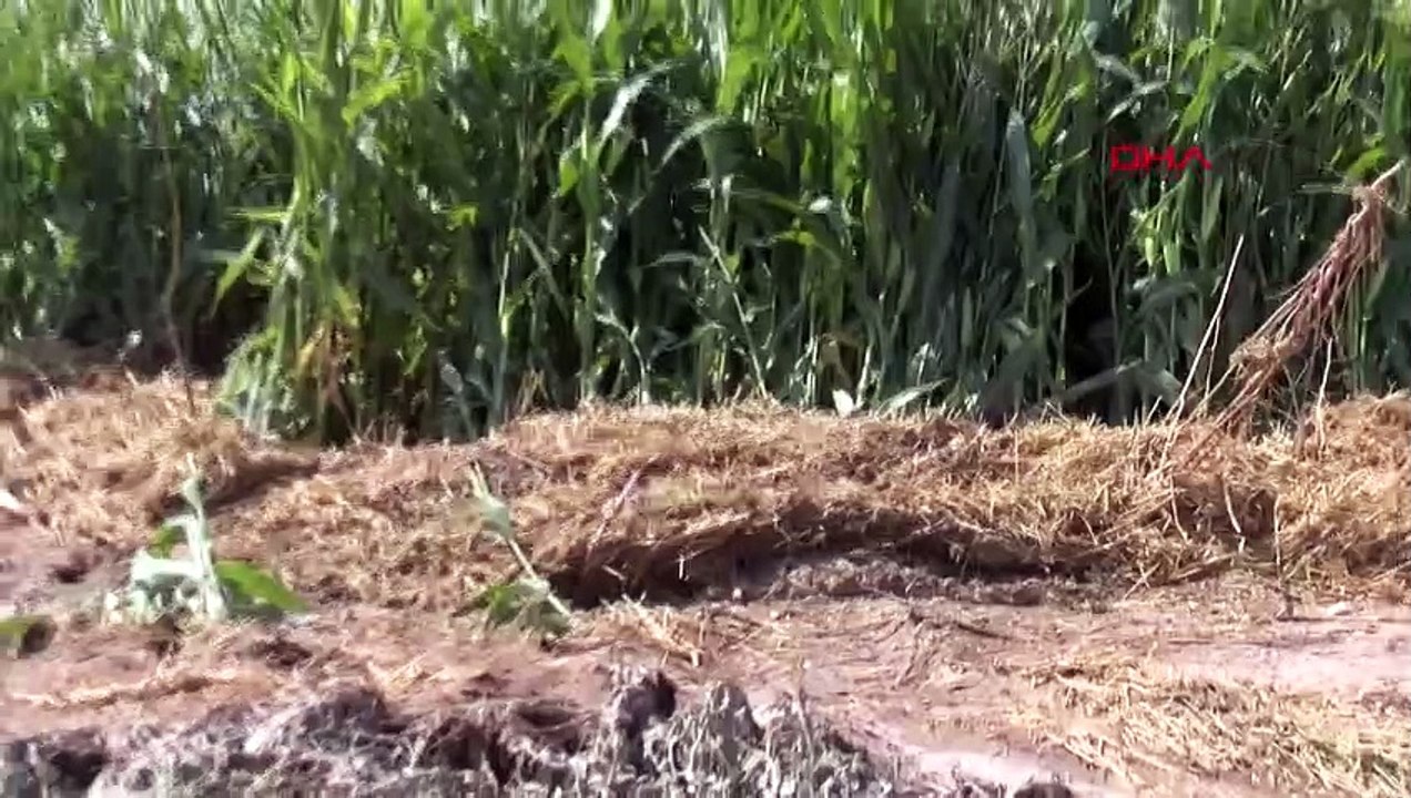 Catastrophe des inondations à Nevşehir : Début des études de détermination des dommages dans les zones cultivées