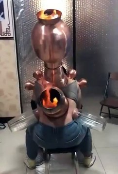 Médecine traditionnelle chinoise... bizarre