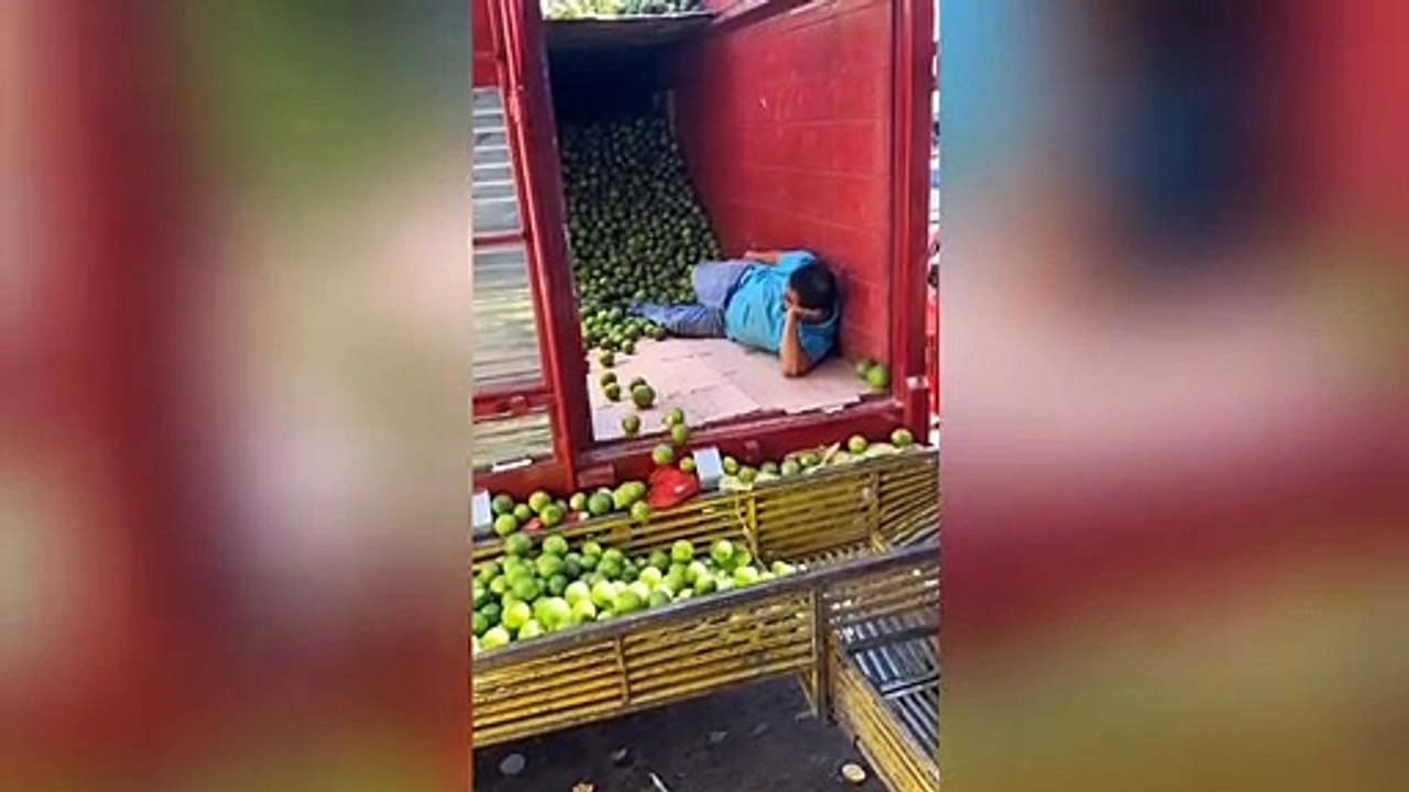 Normal Day On Earth ( wreaa23 )