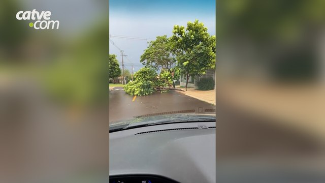 Chuva acompanhada de ventos fortes deixa estragos em Toledo Rajadas de ventos de 73,4km/h foram registradas na cidade