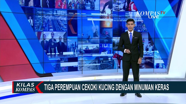 Usai Viral, 3 Perempuan Cekoki Kucing dengan Miras Digeruduk Komunitas Peduli Hewan