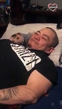 Adorable piglet loves snuggling with dad PETASTIC