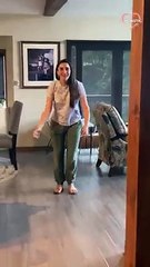 Girl reunites with mom's dogs after a year-and-a-half   PETASTIC