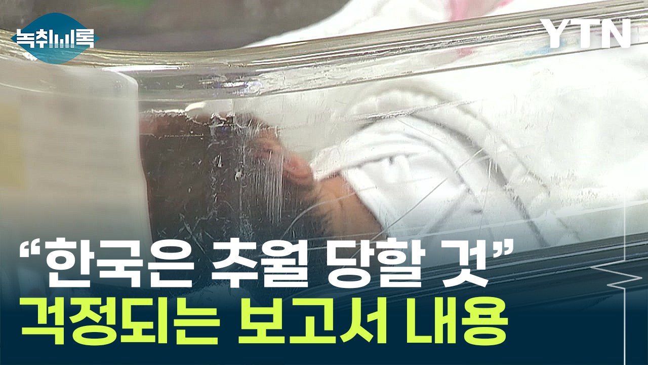 "다른 어느 나라보다 빠르다"...한국에 닥친 심각한 상황 [Y녹취록] / YTN