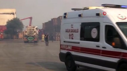 İzmir'de palet fabrikasında yangın