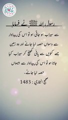 Daily Hadees | Hadees Sharif | Sahih Bukhari 1483 || Daily Blink #shorts #viral #sahihbukhari