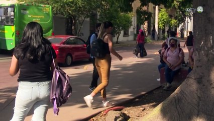 Regidora tapatía lamenta rechazo de iniciativas para garantizar vivienda como derecho humano