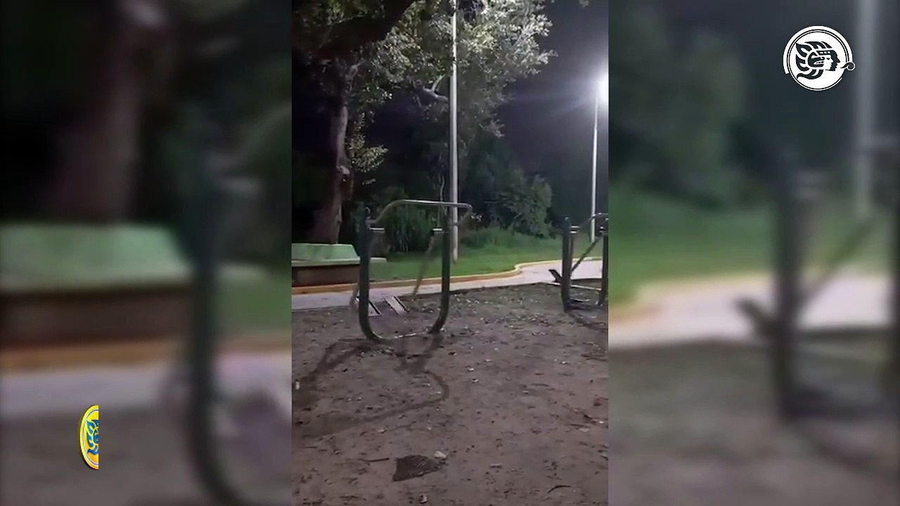 ¿Fantasmas fit? captan 'actividad paranormal' en parque de Cosoleacaque