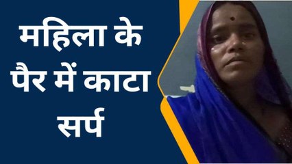 महराजगंज: घर में काम कर रही थी महिला, फिर हुआ कुछ ऐसा...मची चीख पुकार