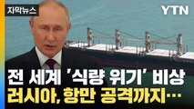[자막뉴스] 전 세계 식량 위기 '비상'...러시아 항만 공격까지? / YTN