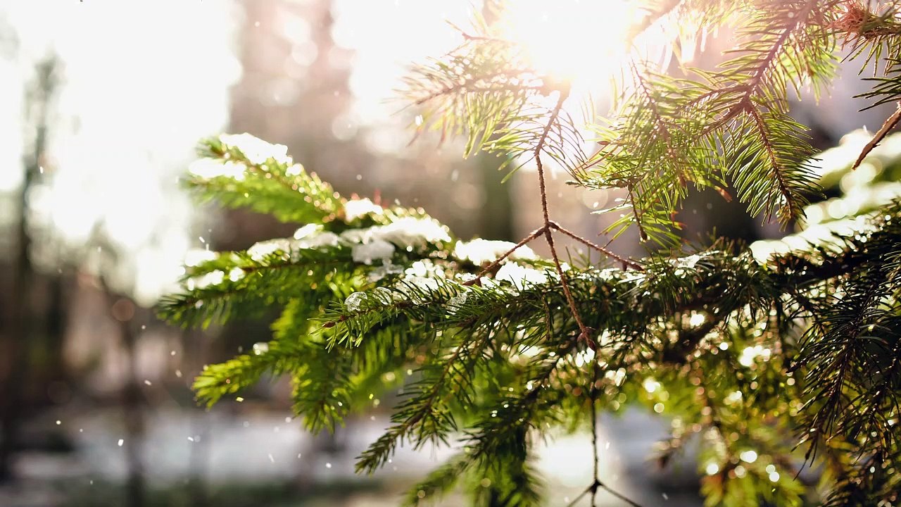 Winter Time 2023