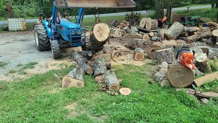 Daughter Helps Dad With Yardwork