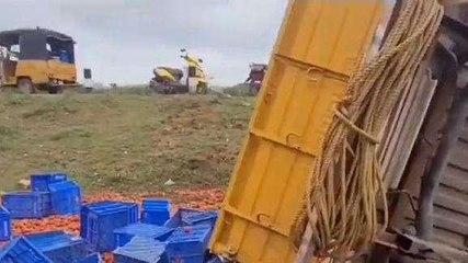 శ్రీ సత్యసాయి జిల్లా: టమోటా లోడు వాహనం బోల్తా... తీవ్ర గాయాలు