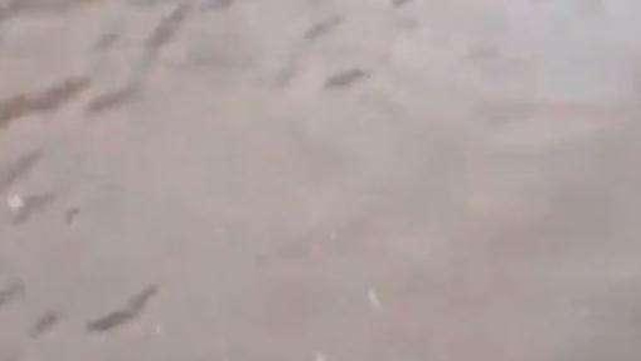 హైదరాబాద్: నగరంలో భారీ వర్షం... స్టీల్ బ్రిడ్జి క్రిందికి వరద నీరు