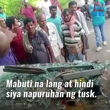 Elepanteng nag-amok, sinugod ang bus na puno ng pasahero! | GMA News Feed