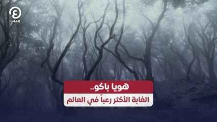 هويا باكو.. الغابة الأكثر رعباً في العالم