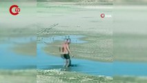Sazlıbosna Barajı’nda bataklığa saplanan köpeğin kurtarılma anı kamerada