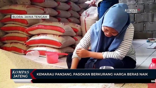 Kemarau Panjang, Pasokan Berkurang Harga Beras Naik