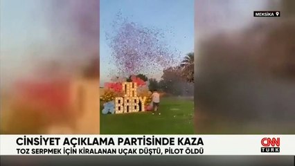 Cinsiyet açıklama partisi için kiralanan uçak düştü