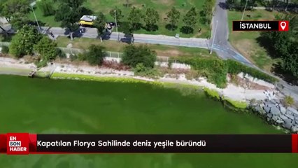 Kapatılan Florya Sahilinde deniz yeşile büründü