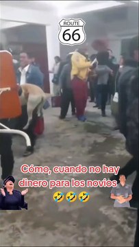 Se llevan a Firulais : Dos perritos son entregados como regalos en matrimonio en Huancayo