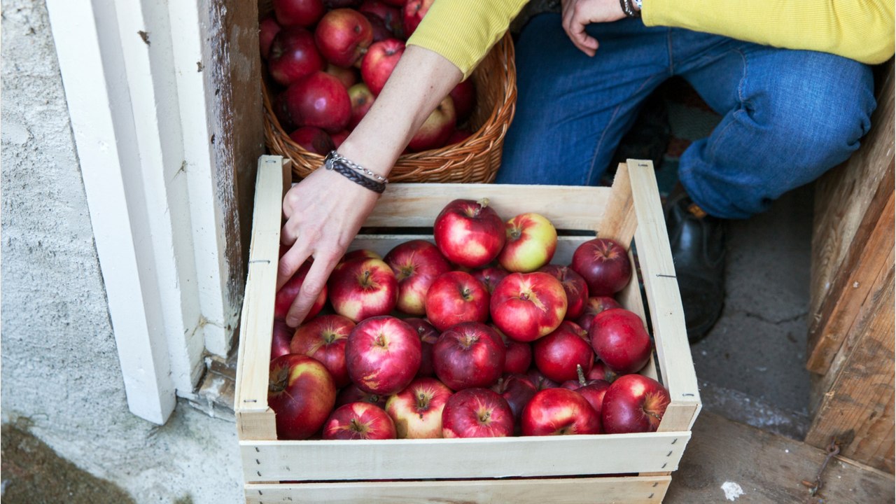 Die besten tipps: so lagert man Äpfel richtig