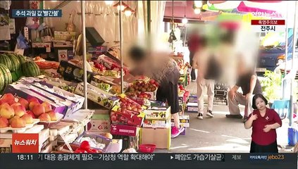 "추석에 얼마나 들지"…채소 안정되자 과일 고공행진