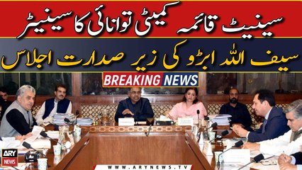 Senate Standing Committee Energy meeting chaired by Senator Saifullah Abro
