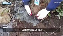 [자막뉴스] 제주 땅 파자 가축분뇨 '콸콸'…1,500t 몰래 버려