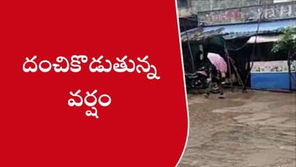 మహబూబాబాద్: ఎడతెరిపి లేకుండా కురుస్తున్న వర్షం