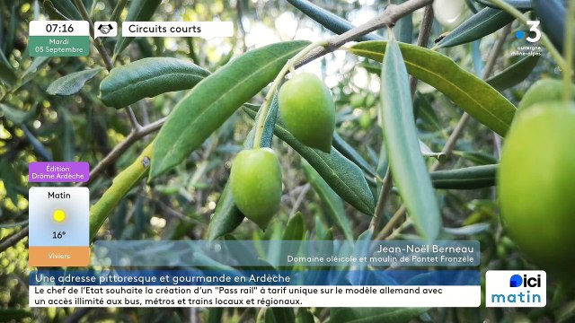 A Lagorce, la plus grande oliveraie bio d'Ardèche, ses huiles, ses olives et ses produits transformés