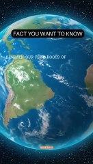 Secret of Plant beneath Our Feet | Facts | Quirk tales | #viral