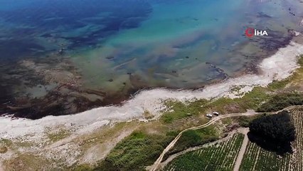 Van Gölü'nde su seviyesi düştü, adacık gün yüzüne çıktı