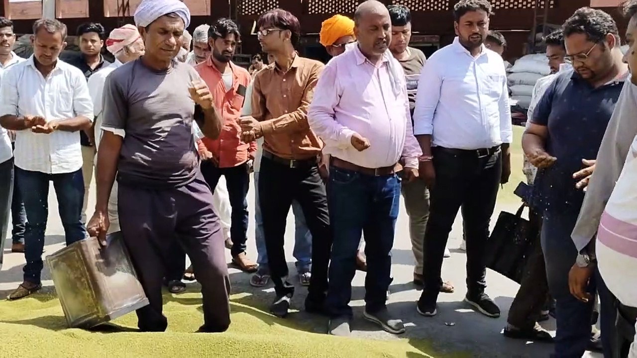 मूंग के भावों ने फिर रचा इतिहास, मेड़ता मंडी में बिका राजस्थान का सबसे महंगा
