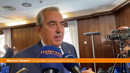 Gasparri "Forza Italia riparte con i giovani"