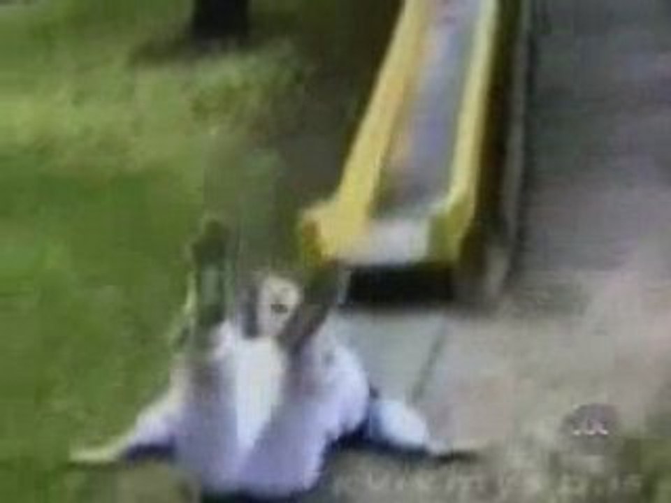 Lachvandedag.nl - Uitglijders